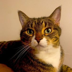 Meet your Posher, Celeste